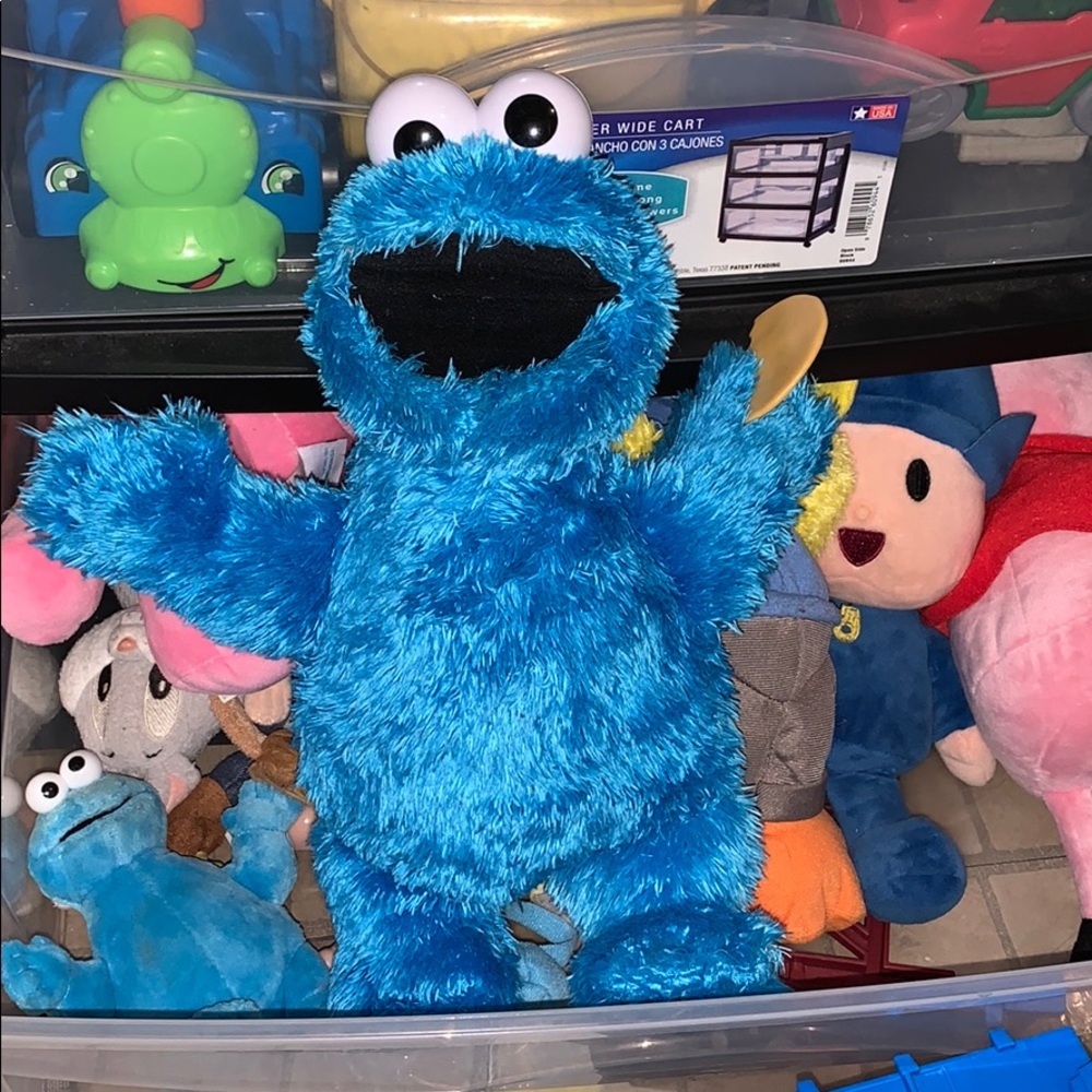 Cookie Monster
